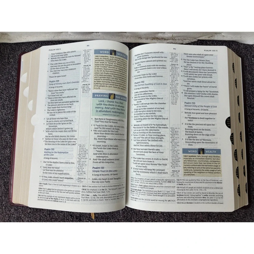 NKJV Spirit-Filled Life Bible Jack Hayford 3rd Ed Leathersoft Burgundy Indexed